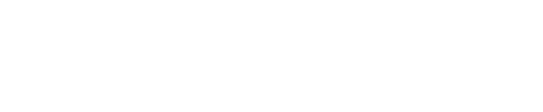 Logo The Skate Bird